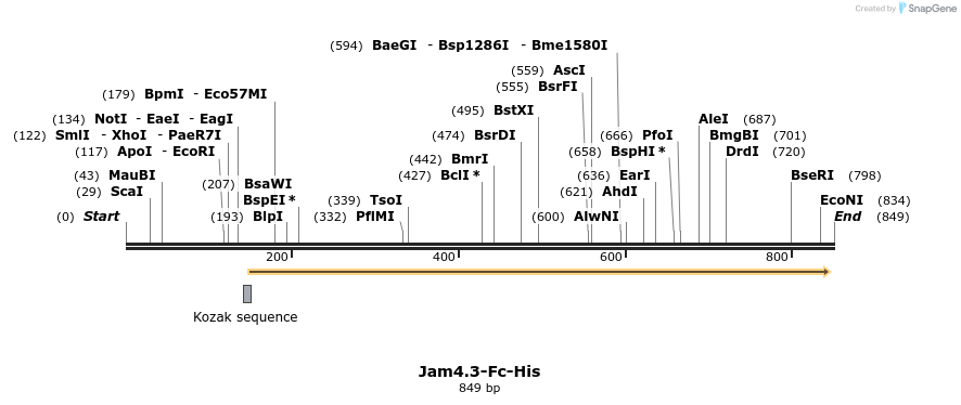 137303_map