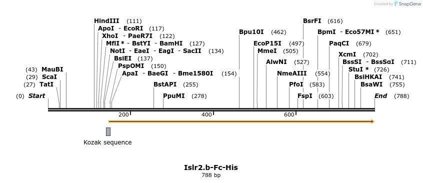 137307_map