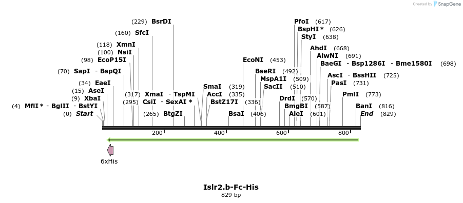 137308_map