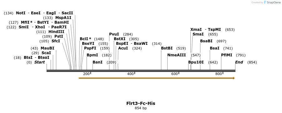 137313_map