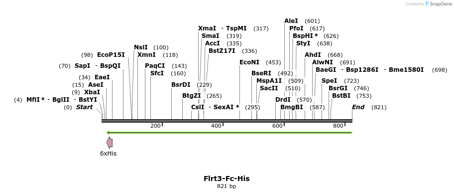 137314_map