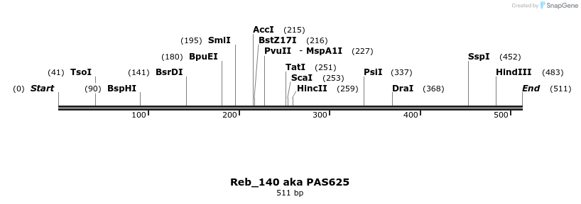 137315_map