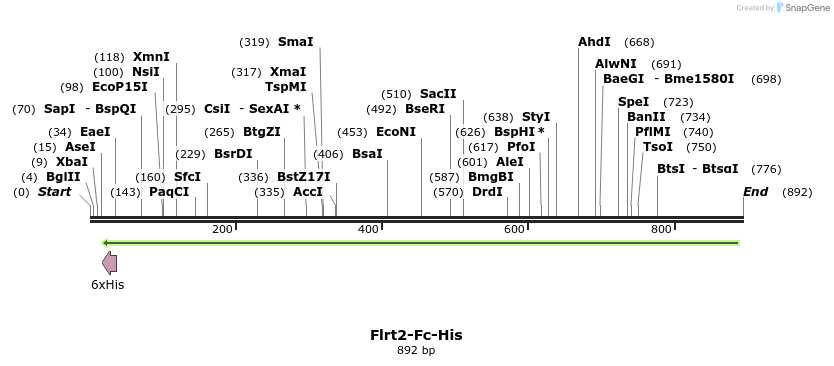 137318_map