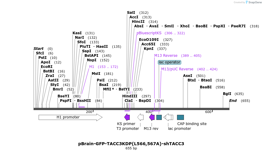 137320_map