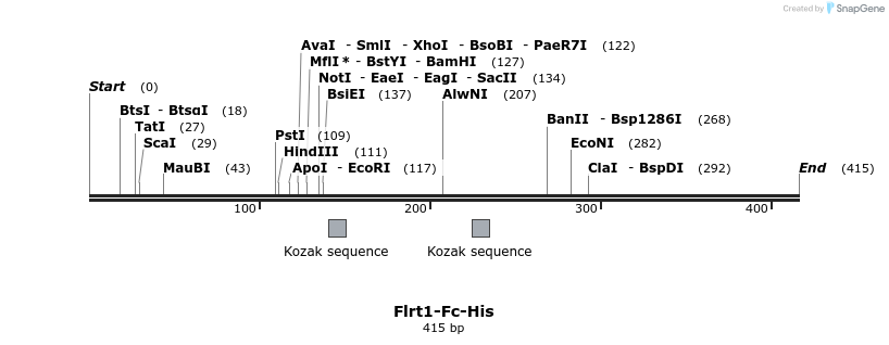 137321_map