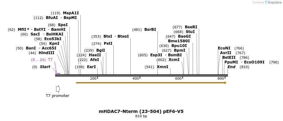 137322_map
