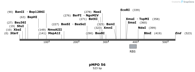 137325_map