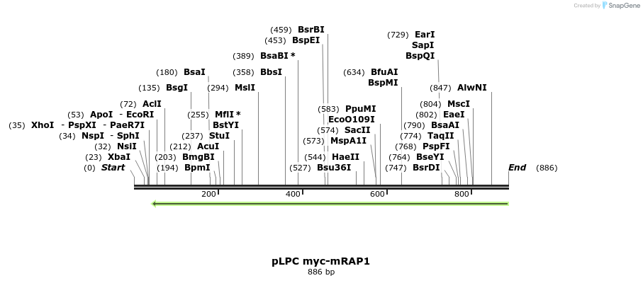 137326_map