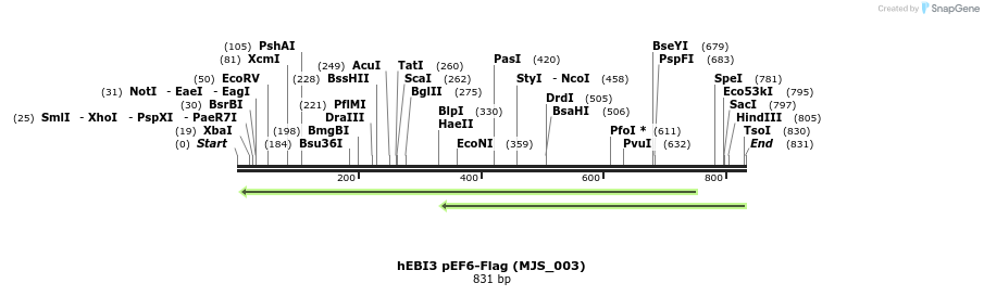 137334_map