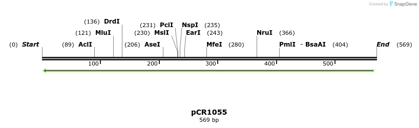 137338_map