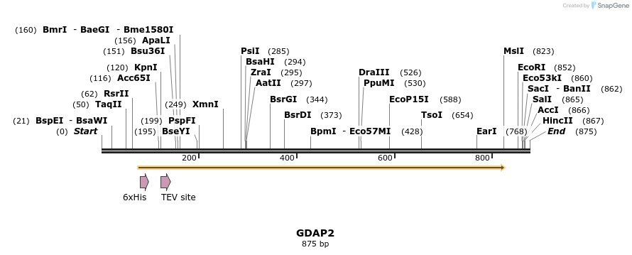 137339_map