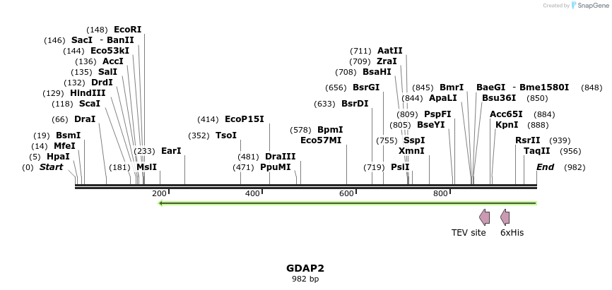137341_map