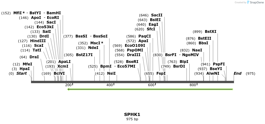 137347_map