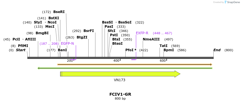 137348_map