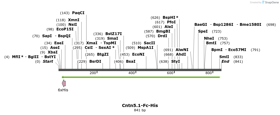 137352_map