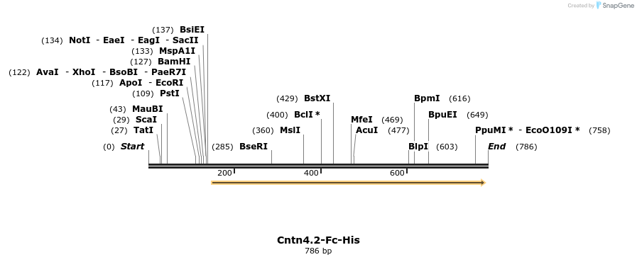 137354_map