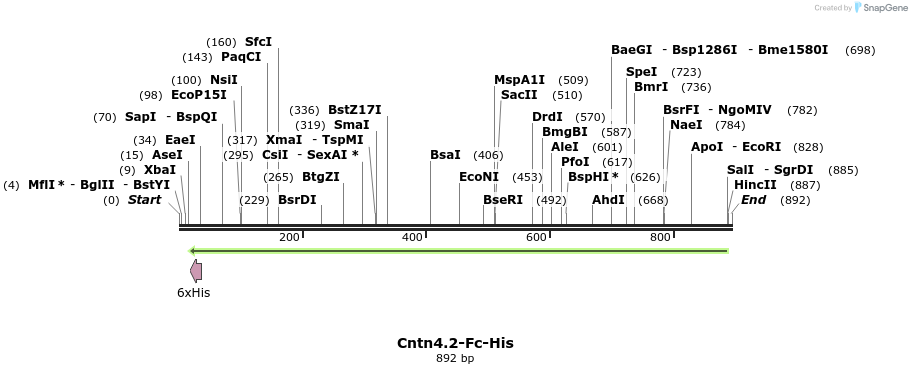 137355_map