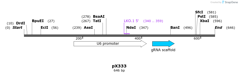 137356_map
