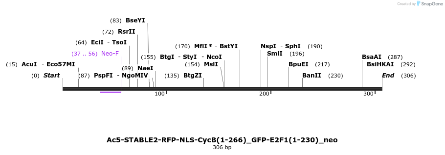 137361_map