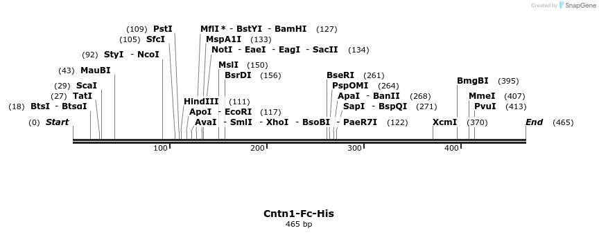 137375_map