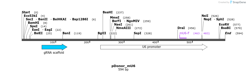 137376_map