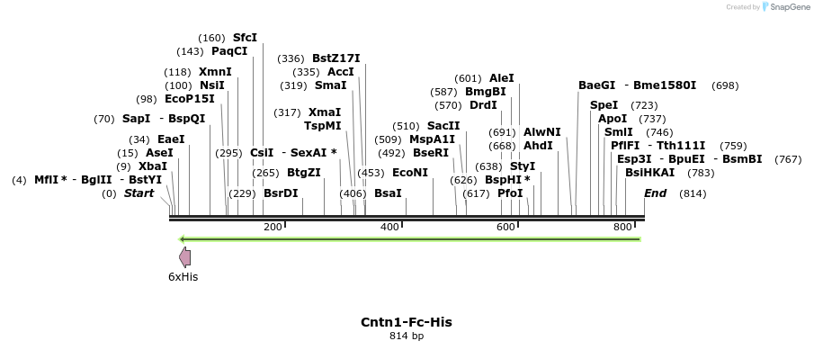 137377_map