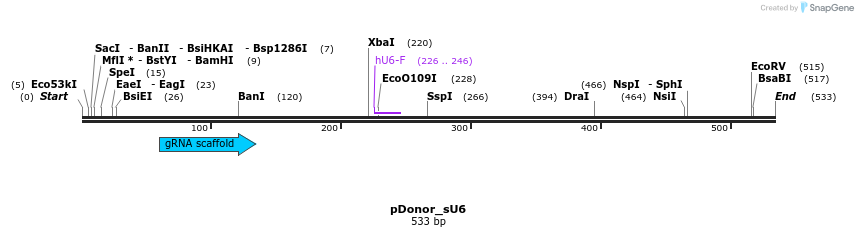 137380_map