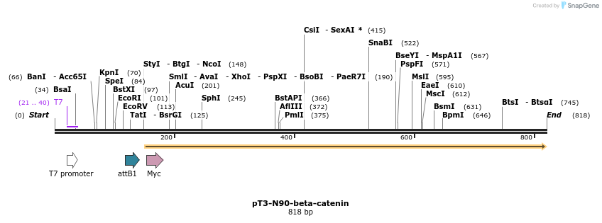 137387_map