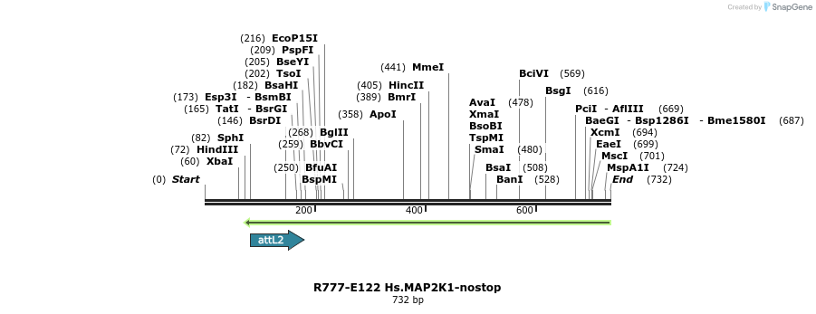 137392_map