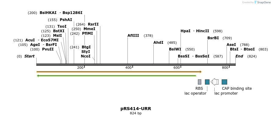 137394_map