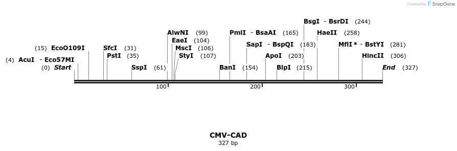 137396_map