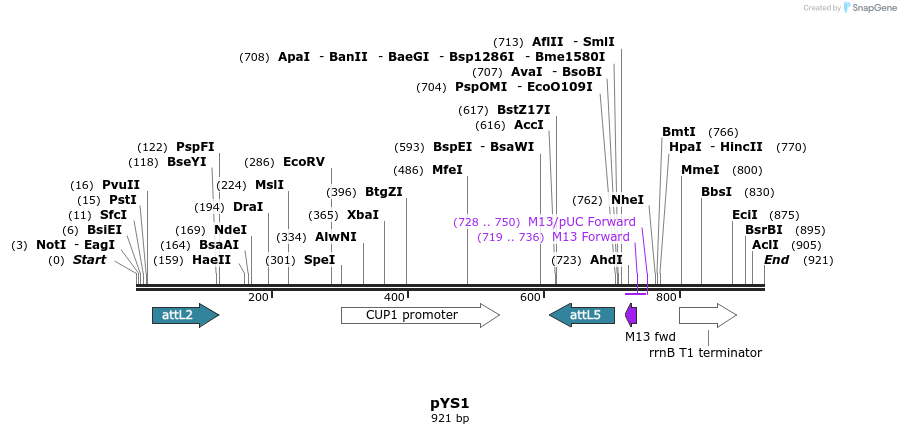 137402_map