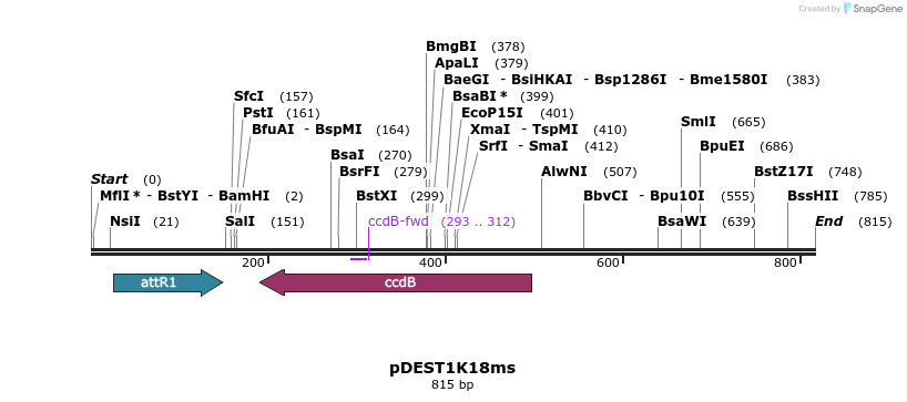 137405_map