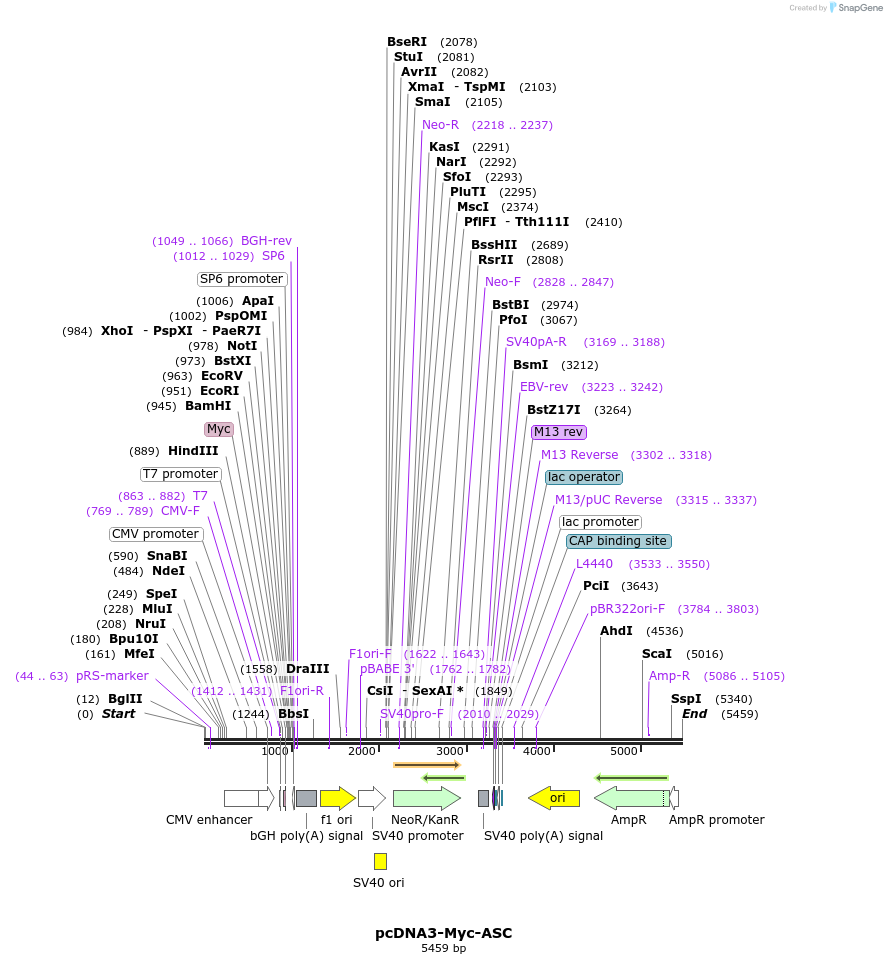 137411_map