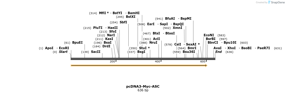 137412_map