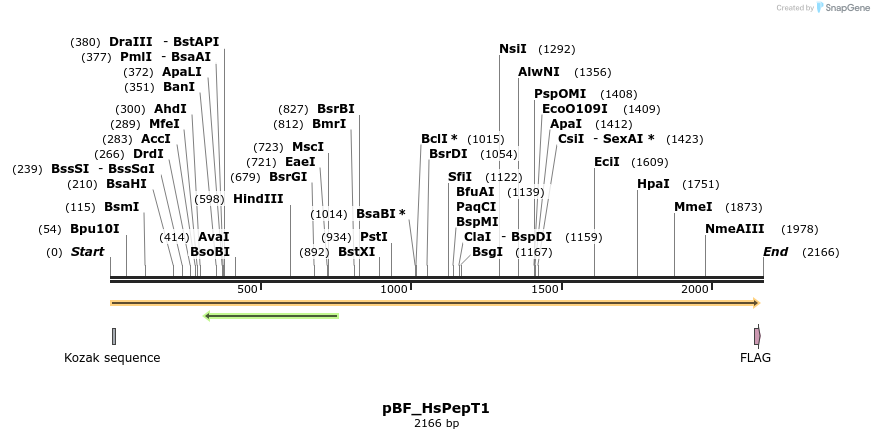 137419_map