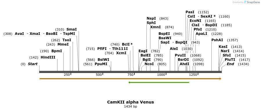 13742_map