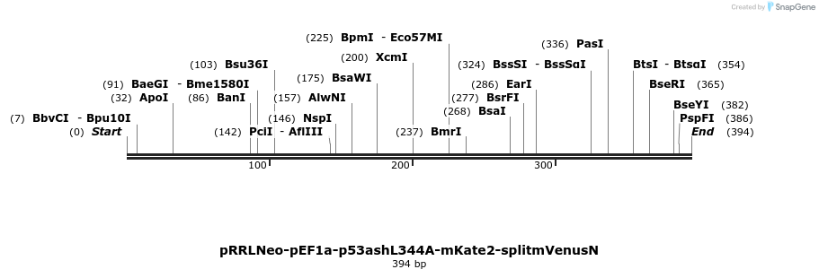 137430_map