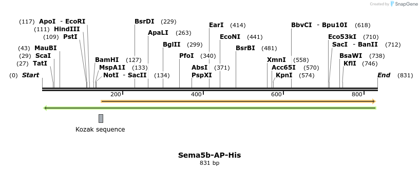 137436_map