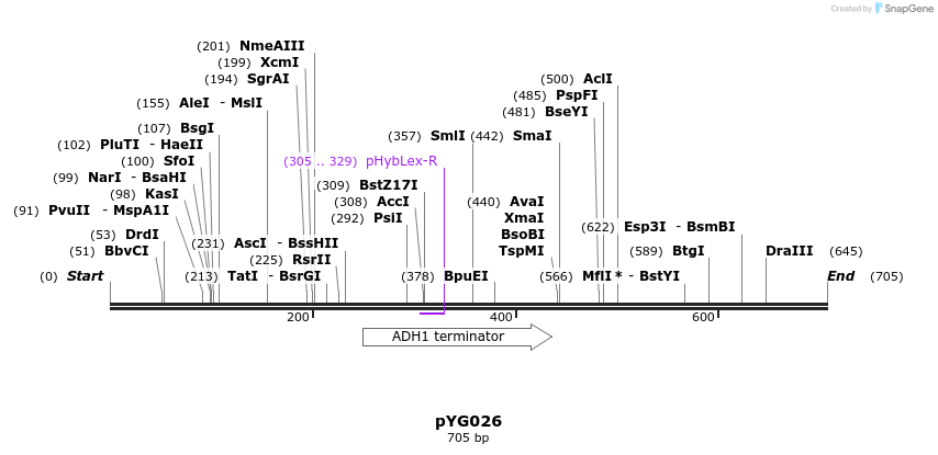 137438_map