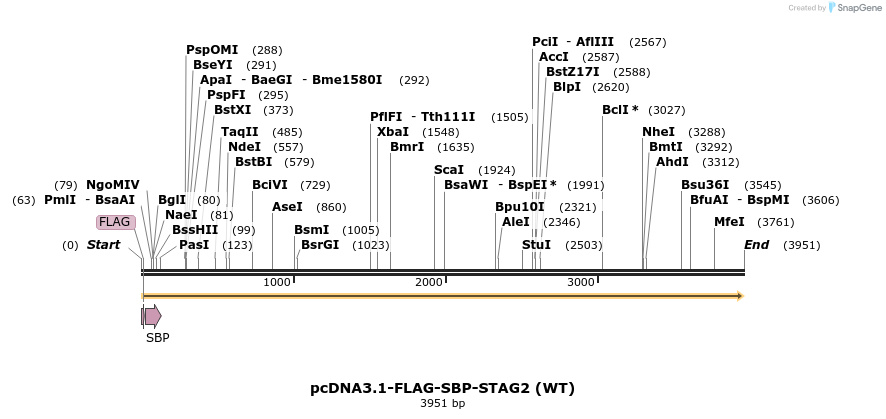 137440_map