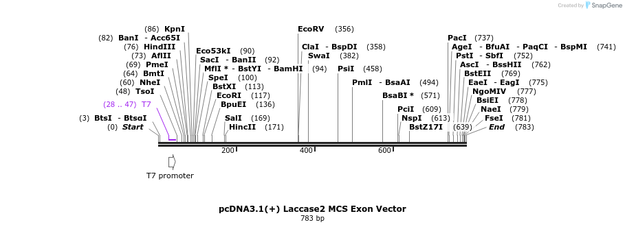 137444_map