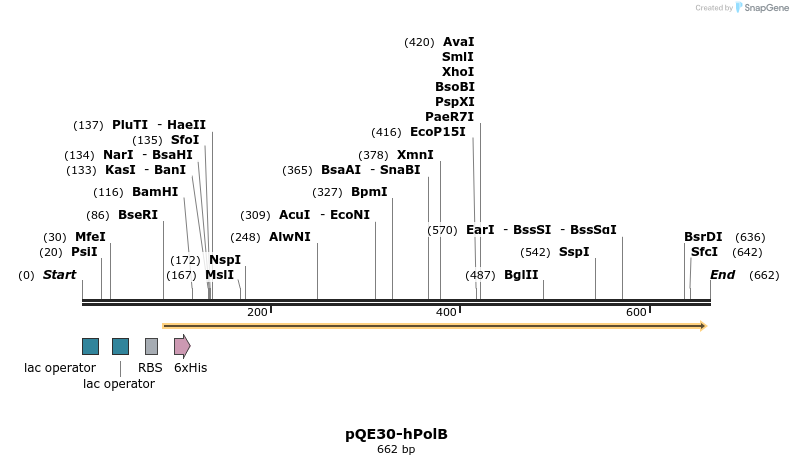 137449_map