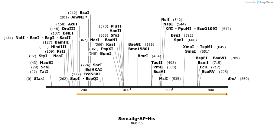137453_map