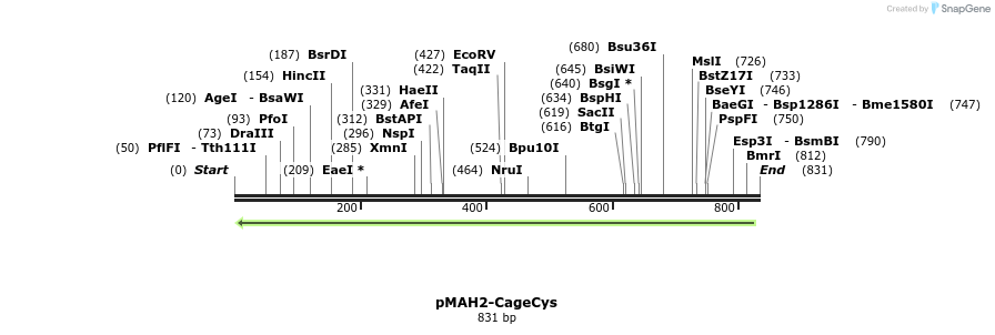 137456_map