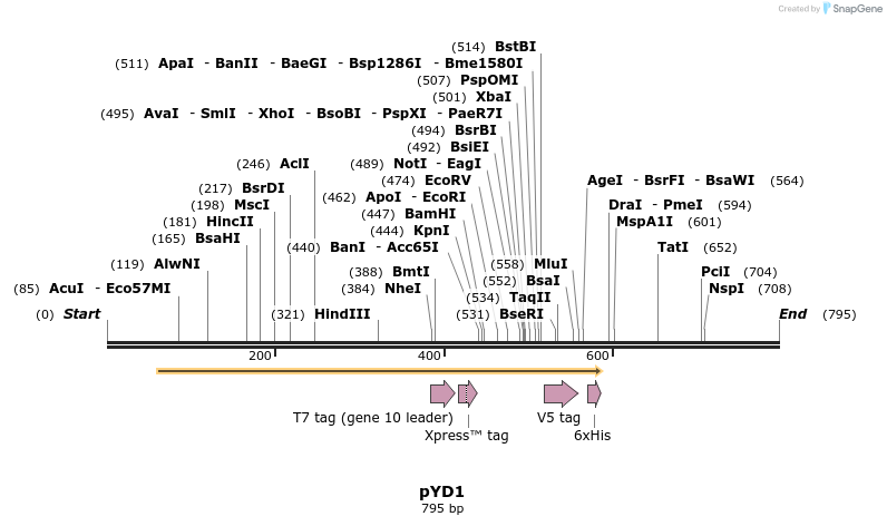 137457_map