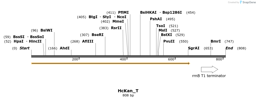 137460_map