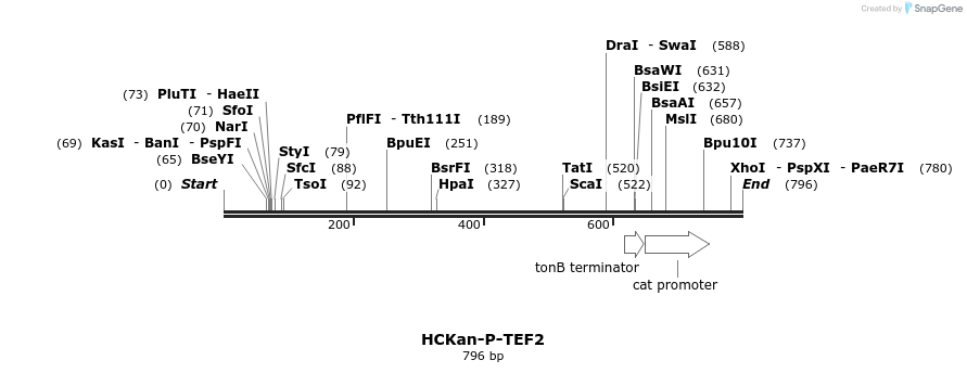 137462_map