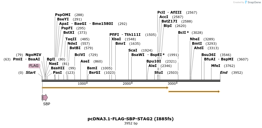 137463_map