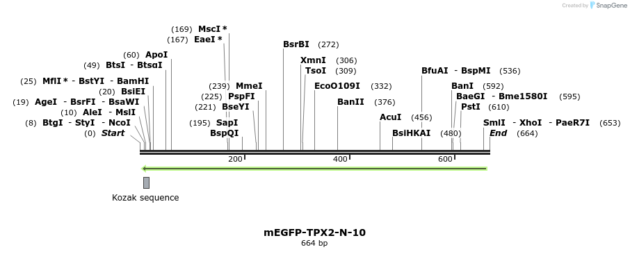 137467_map